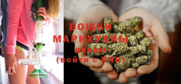 индика Пролетарск