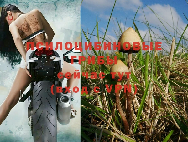 кокс Протвино
