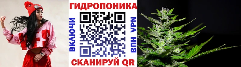 Бошки Шишки тримм  где купить наркоту  Асино 